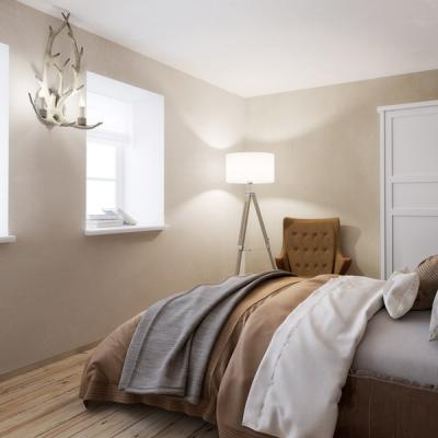 Apartmany Haslerka Loznice